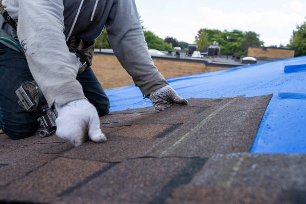 Best Metal Roofing Contractor  in Matoaca, VA